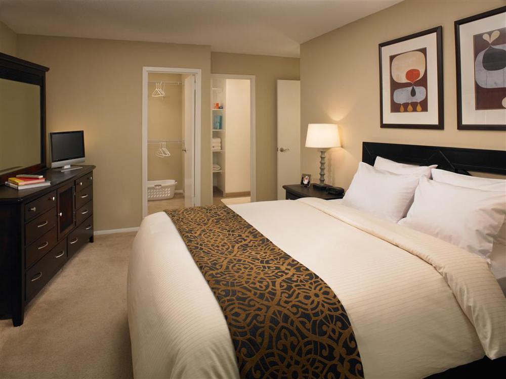 Mainsail Suites Hotel & Conference Center Tampa Habitación foto